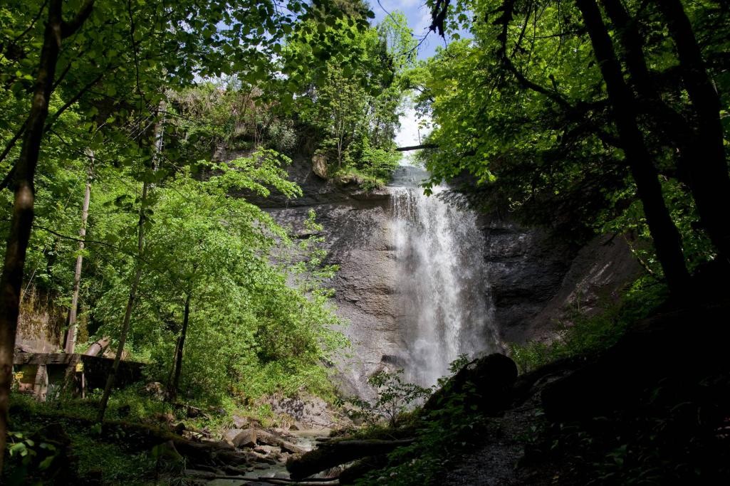 Ein tief stürzender Wasserfall in einem Wald