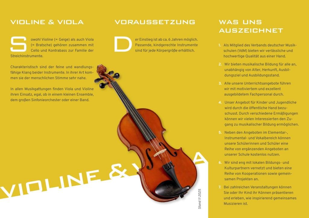 Instrumentenflyer Violine+Viola Instrumentenflyer Violine+Viola