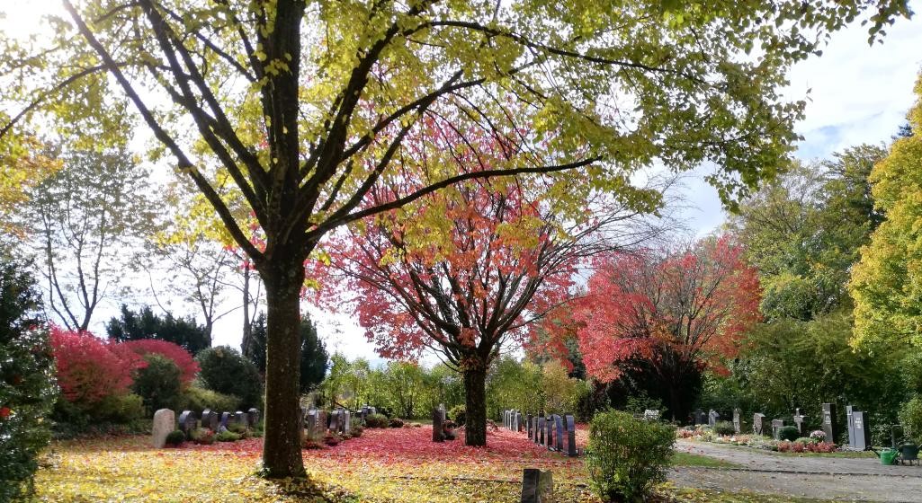 Friedhof Zillhausen im Herbst Friedhof Zillhausen im Herbst