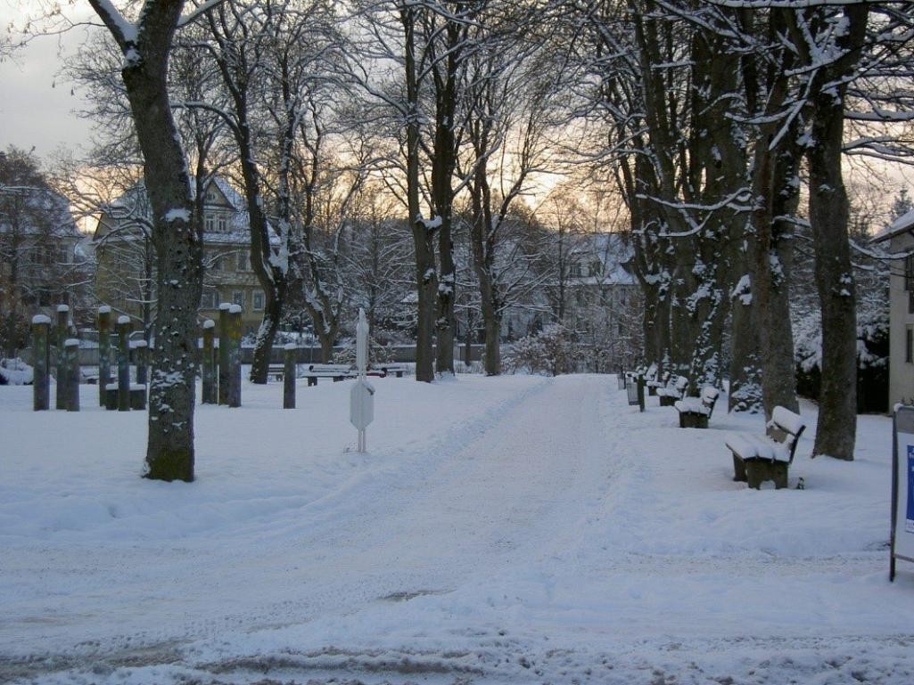 Winterlandschaft Parkanlage