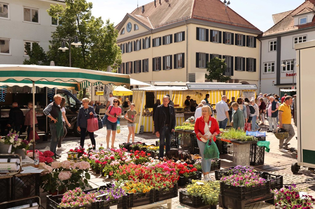 Ein Bild des Wochenmarktes mit Waren, Ständen und Menschen im Sommer