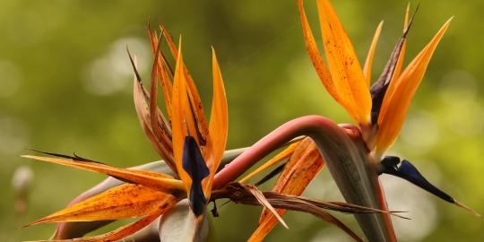 2023-05-12-Impressionen-08