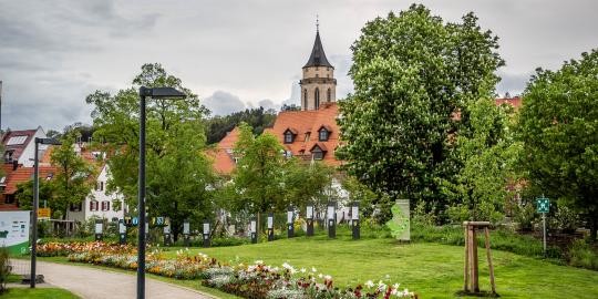 2023_05_10_Tag-006_131_gw