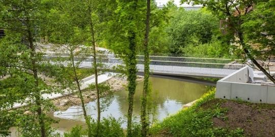 GS23_2022_05_23_Zwischenstand_Eyach_links_162_rb-pugfxn9uil4nqeheptip7fcuzduqsj5zizhws1t4vk