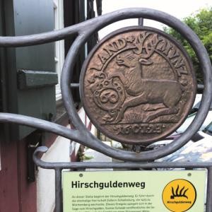 Hirschgulden_Anni_IMG_5202-768x575