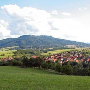Blick-auf-Erzingen