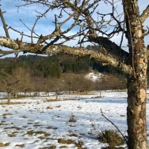 WP_20150214_010-768x432