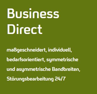 Sie sehen Stichpunkte zu der Speziallösung Business Direct.