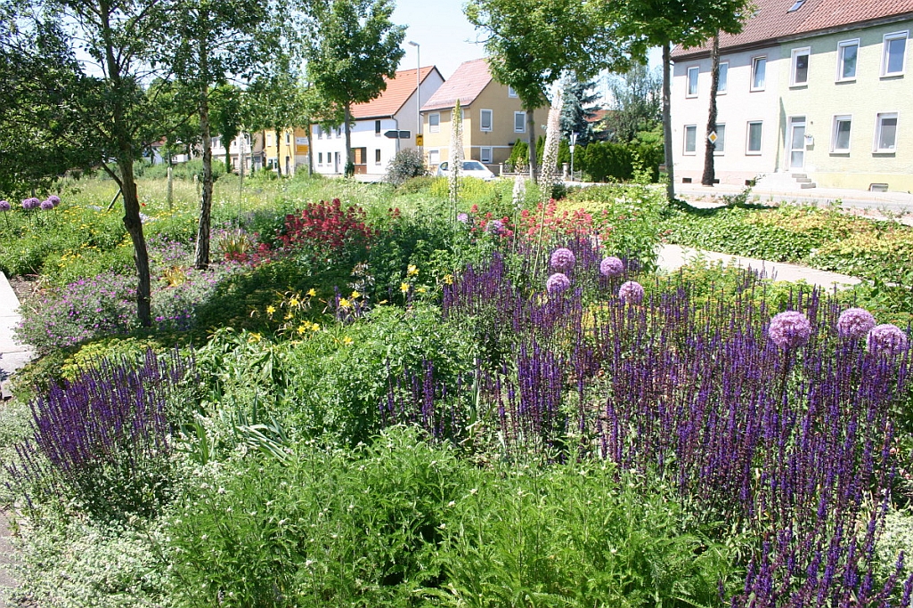 artenreiche Blumenwiese entlang eines Gehweges