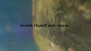 Screenshot aus der Videoinstallation "But don't vanish"