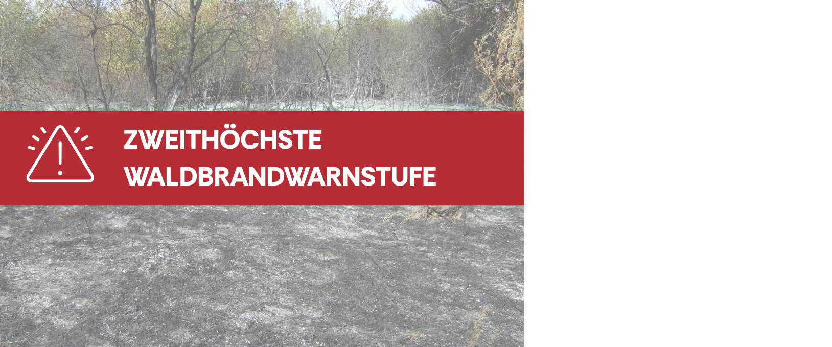 Jugend forscht 2026