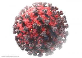 Symbolbild eines Corona-Virus