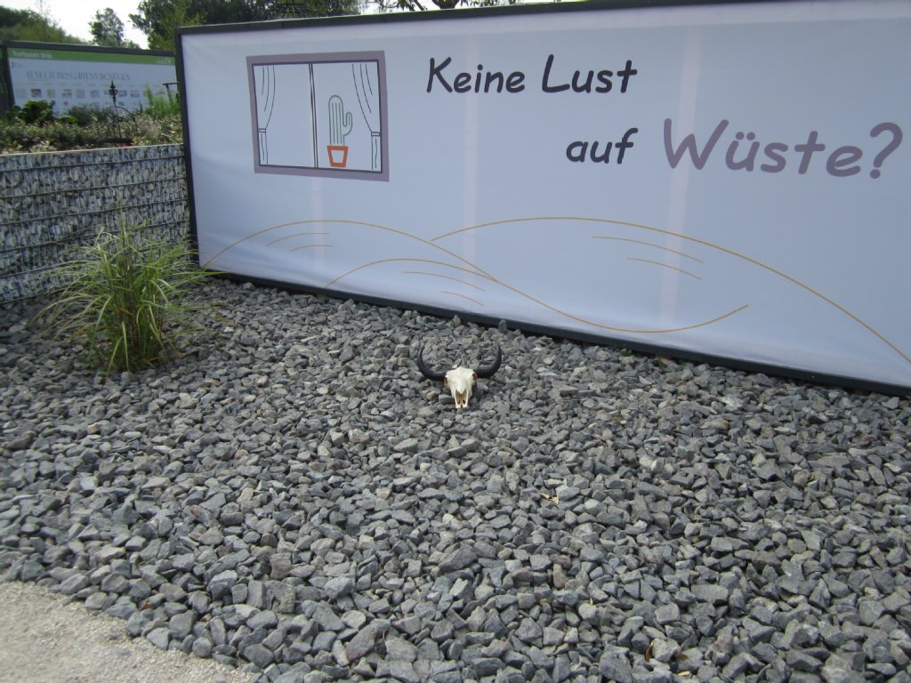 geschotterte Fläche mit Tierschädel, einzelner Grünpflanze und Plakat 'Keine Lust auf Wüste'