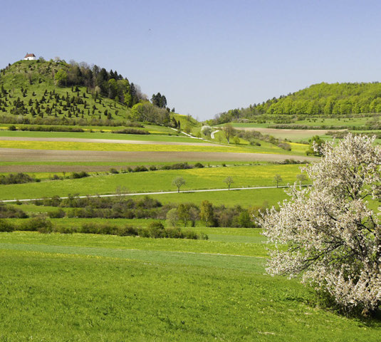 Foto: ustill, CC BY-SA 2.0 DE, via Wikimedia Commons Der Kornbühl bei Salmendingen