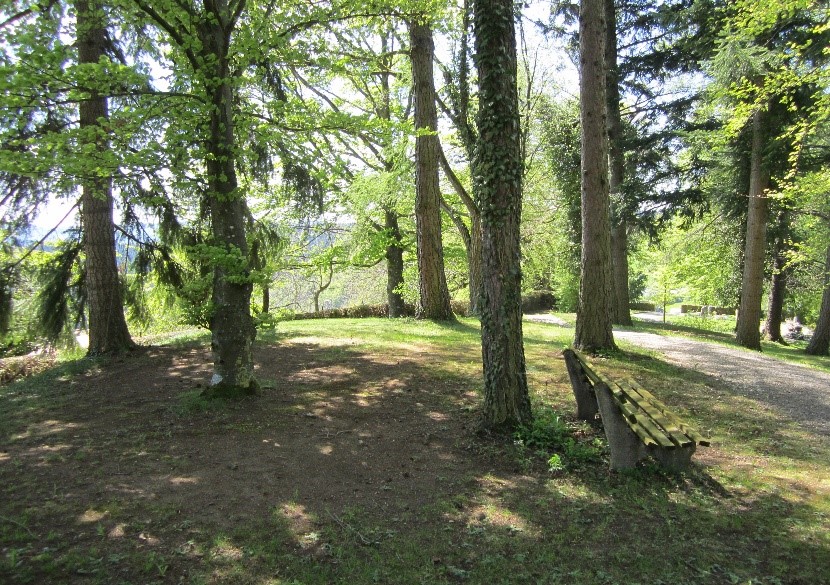 Beispiel für ein Urnenbaumgrabfeld